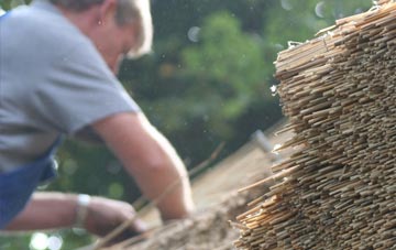 professional Hawddamor thatchers