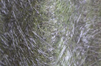 Hawddamor fibreglass roof work